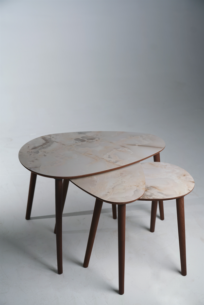 AYGE ™ Paris 3lü Zigon Sehpa %100 MDF