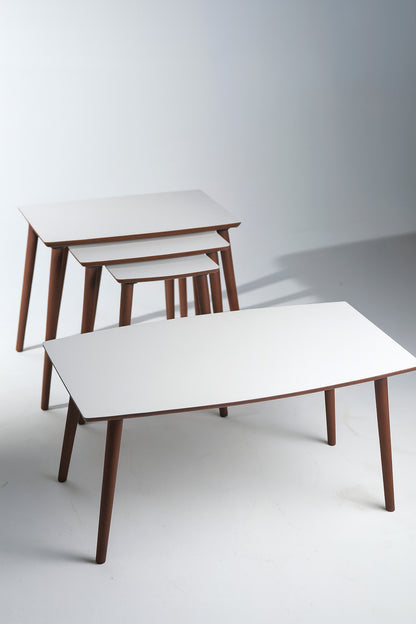 AYGE ™ İstanbul 3lü Zigon + Orta Sehpa %100 MDF