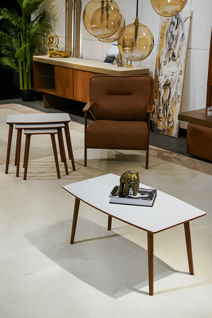 AYGE ™ İstanbul 3lü Zigon + Orta Sehpa %100 MDF